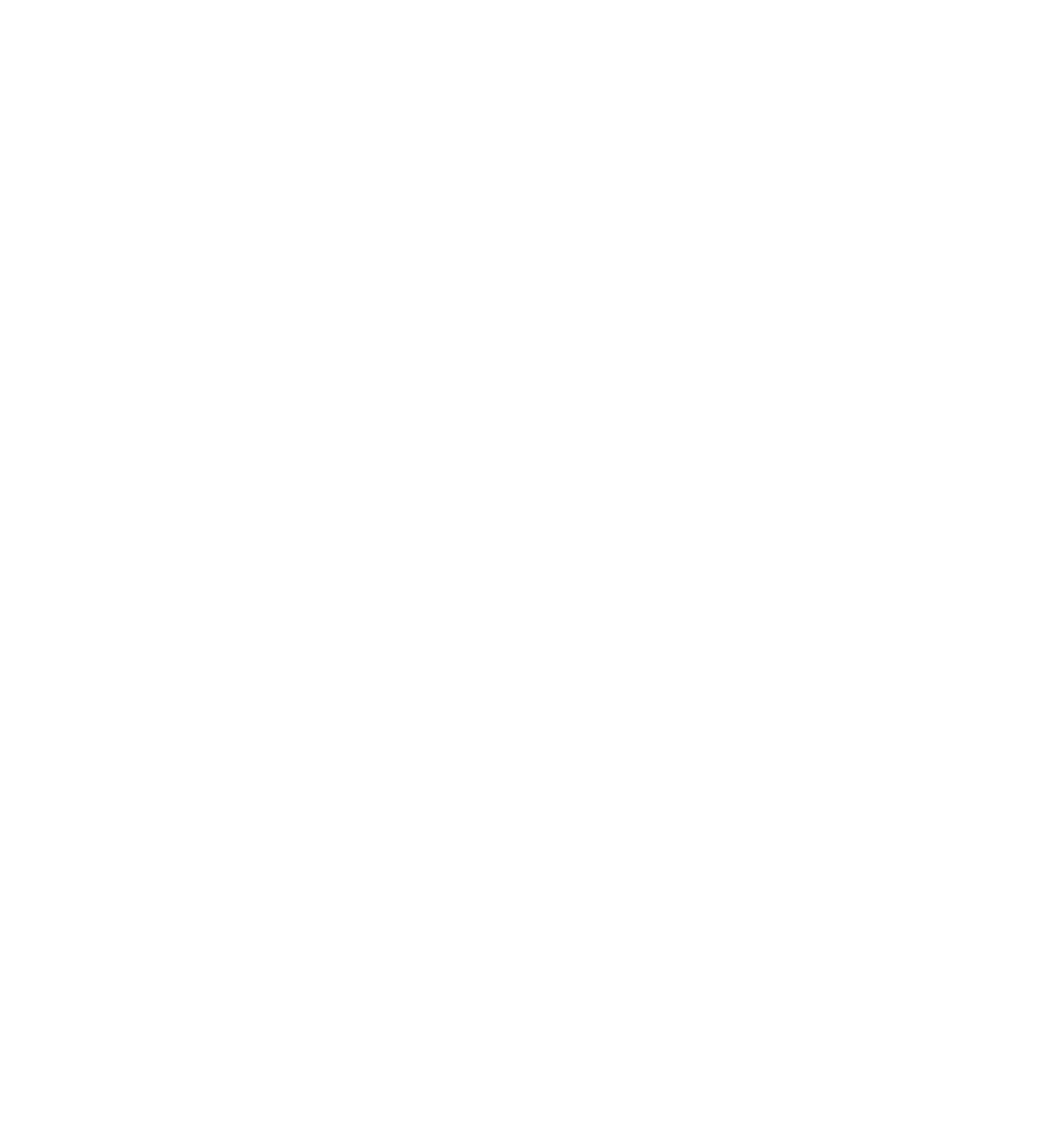 Basic Diet